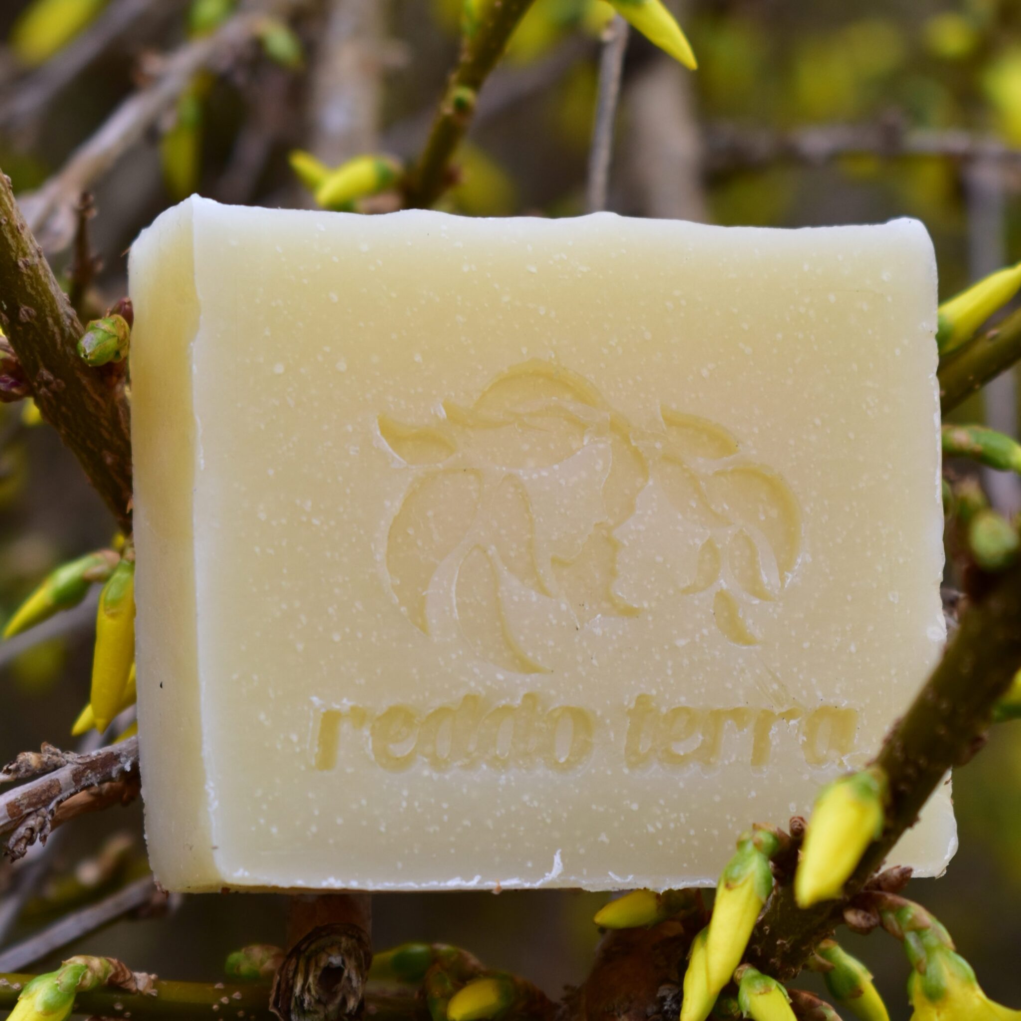Reddo Terra The Gentle - Soap Bar - Reddo Terra Naturkosmetik