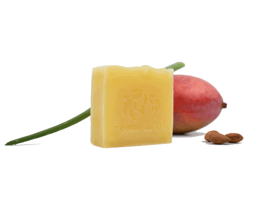 vegan aloe vera seife palmölfrei naturkosmetik aus Biberach plastikfrei empfindliche Haut sensitive